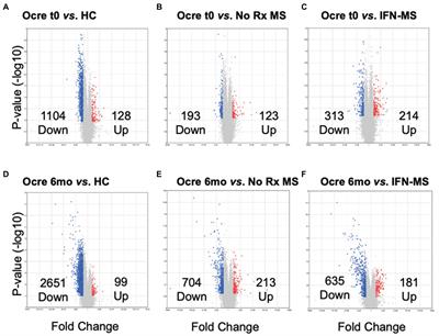 Adaptive and innate immune responses in multiple sclerosis with anti-CD20 therapy: Gene expression and protein profiles